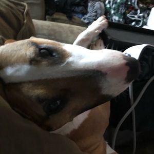 Meet your Posher, Becky